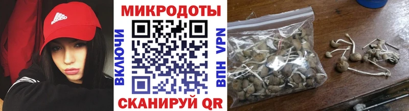 Псилоцибиновые грибы Magic Shrooms  Белозерск 